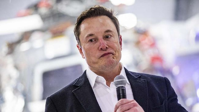 Anggap Piramida Buatan Alien, Elon Musk Malah Diundang ke Mesir