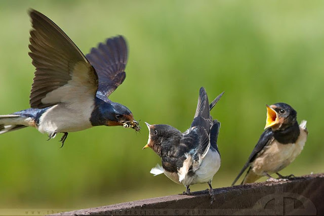 Mengapa Allah Rahasiakan Rezeki Kita?