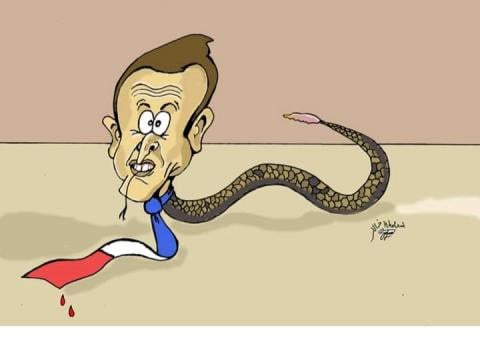 Giliran Qatar dan Iran Kritik Sikap Politik Emmanuel Macron