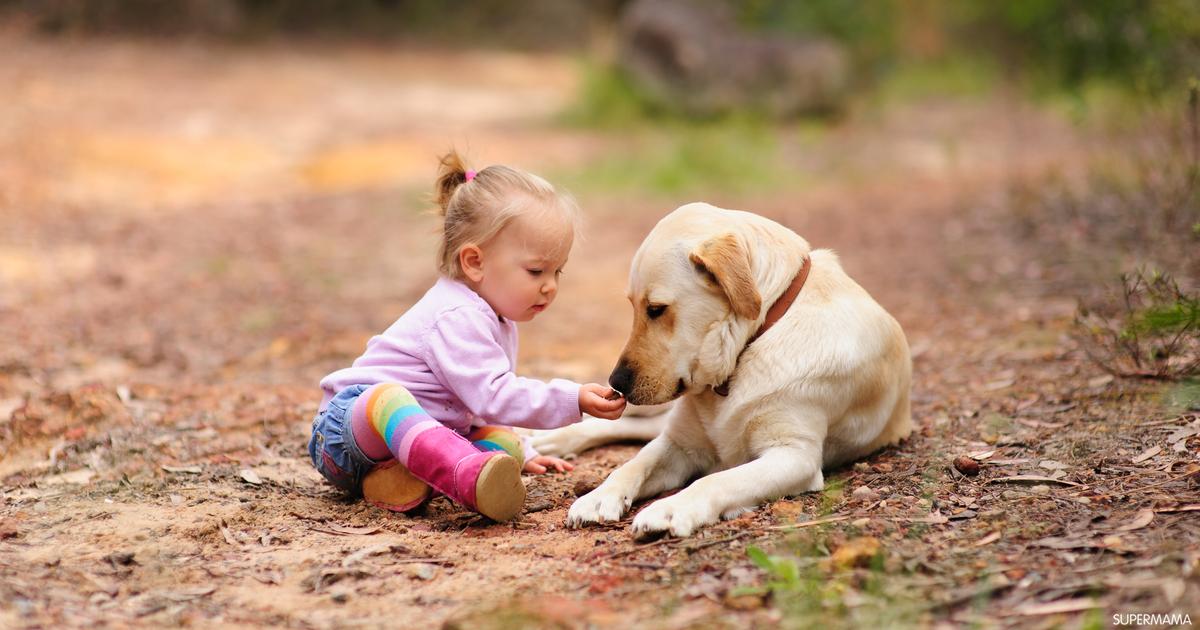Bersyafi'i di Negeri Maliki