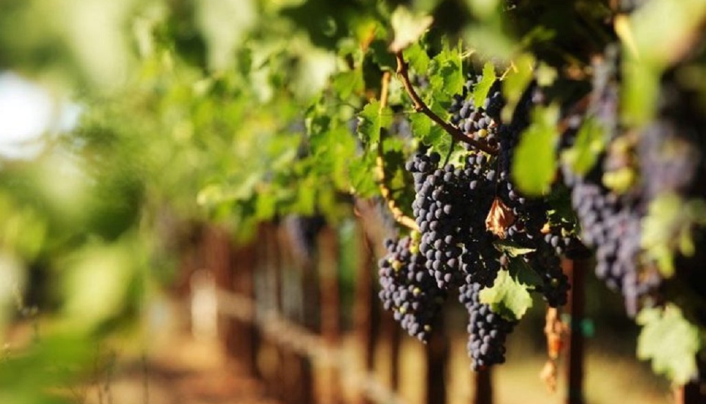 Kisah Nuh bin Maryam Cari Menantu Hingga Lahir Abdullah bin Mubarak