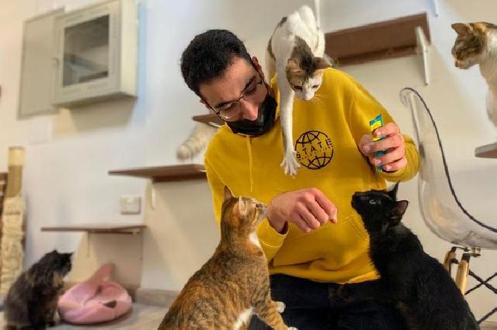 Masuk surga karena kucing