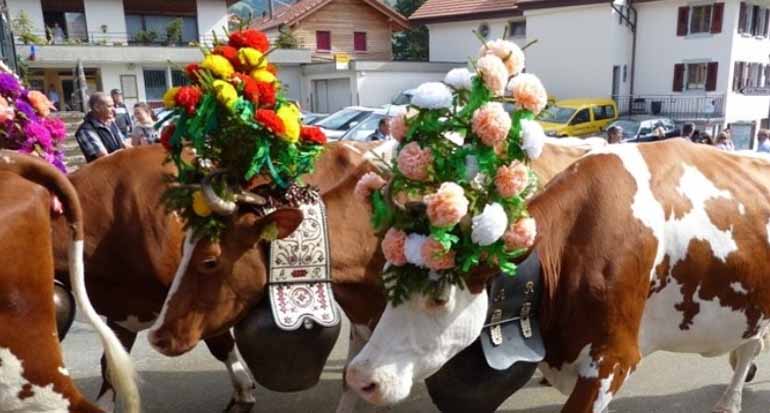 10 hal terkait ibadah kurban yang penting untuk kamu tahu