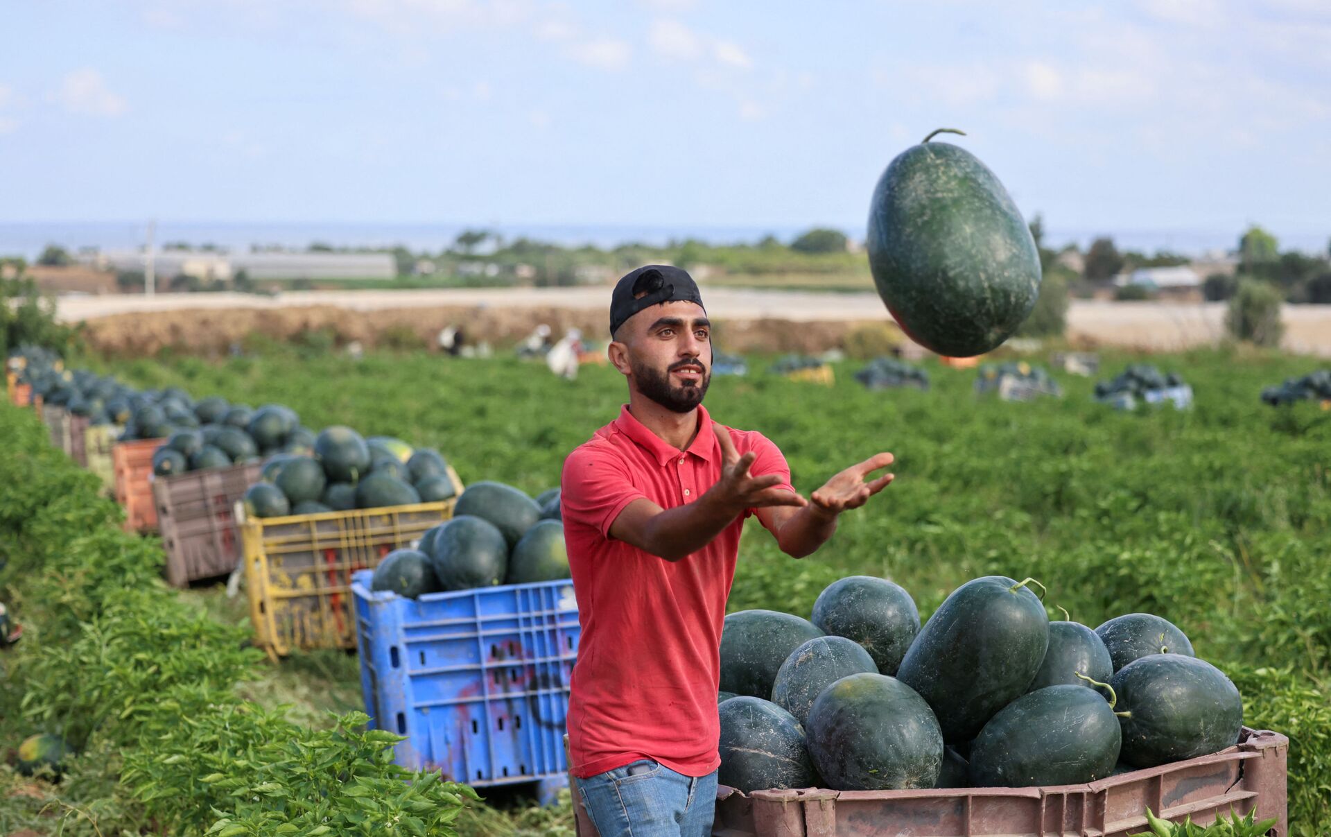 Buah semangka, Imam Ahmad dan hadits-hadits palsu tentang keutamaannya